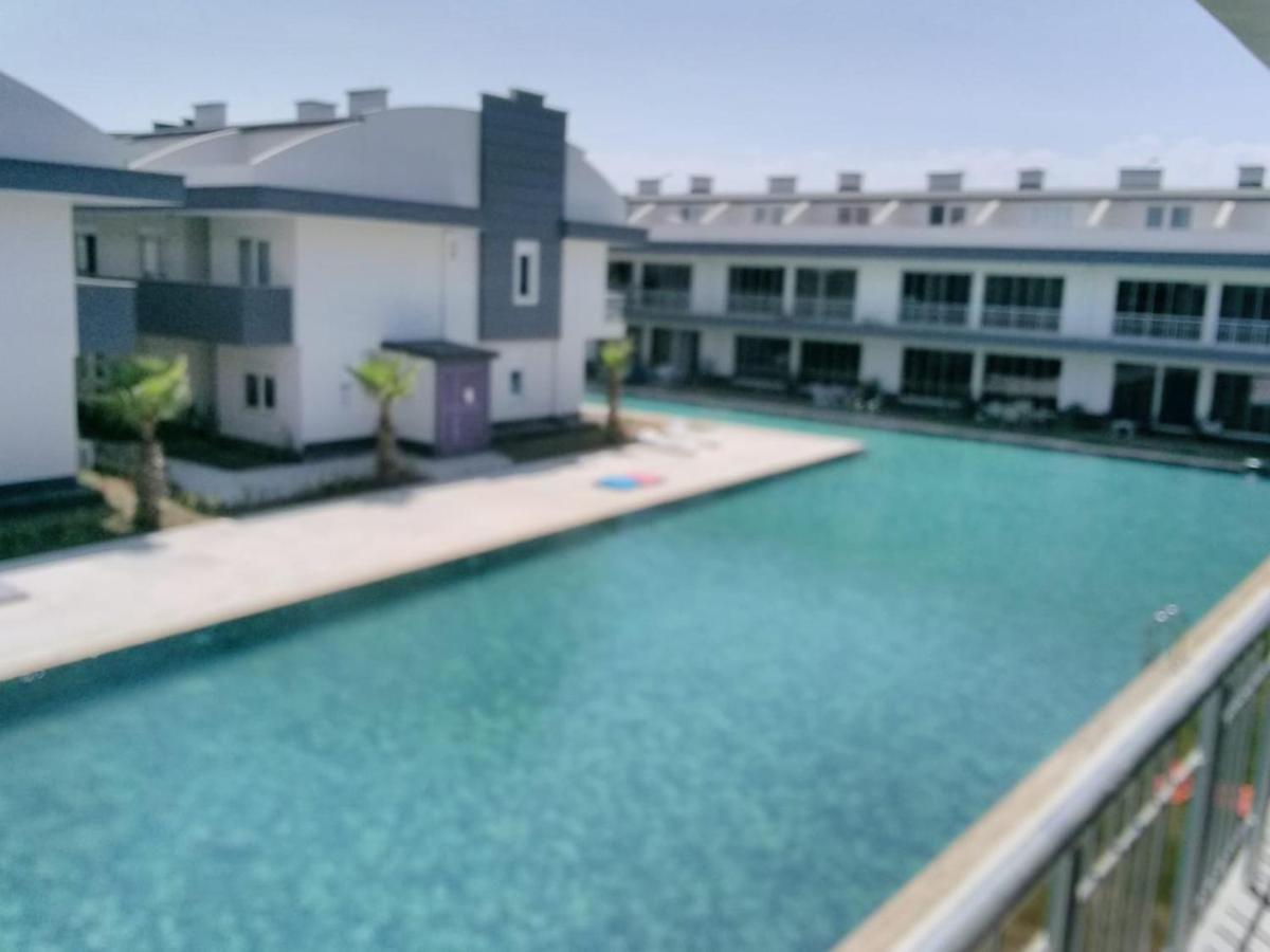 Tema Pool Lara Venezia 公寓 *